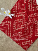 "Hanaya" Bandhani Red Kantha Cotton Kurta