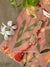 "Nazm" Floral Cotton kurta