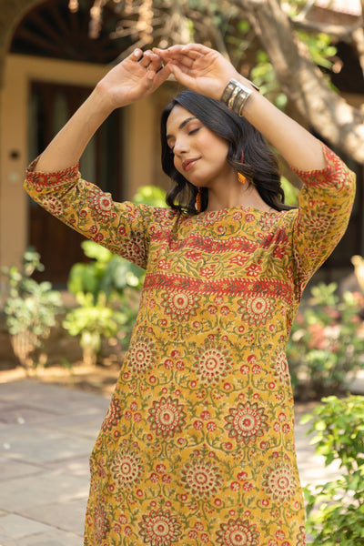 Pratichi Bagru Print Cotton kurta